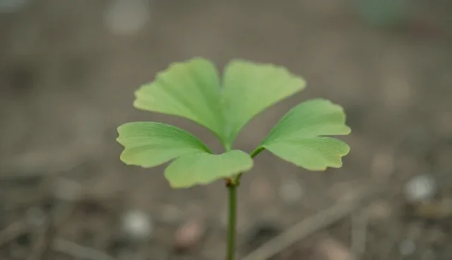 技术驱动下的渠道供货模式应用场景分析