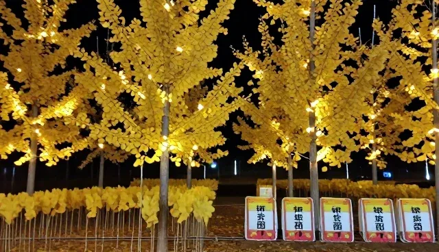 农产品选型时配送模式的取舍与选择