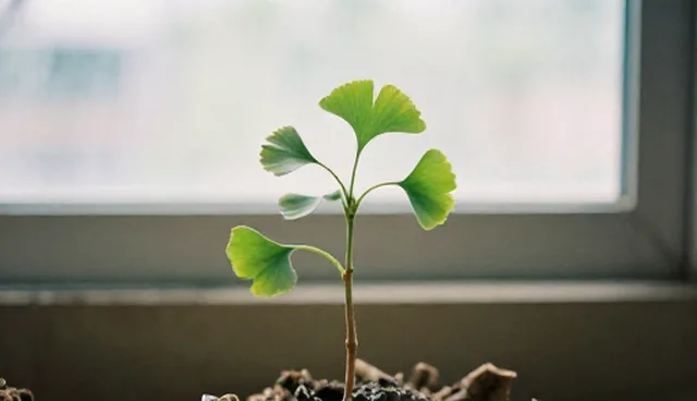 配送技术服务的性能与适用条件建议
